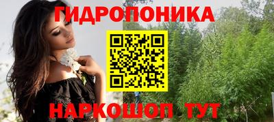 СК Обь