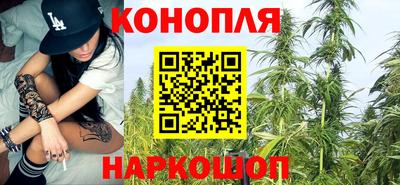 СК Обь